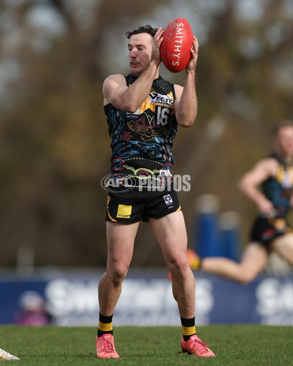 VFL 2025 Round 12 - Werribee v Geelong Cats - A-60020767