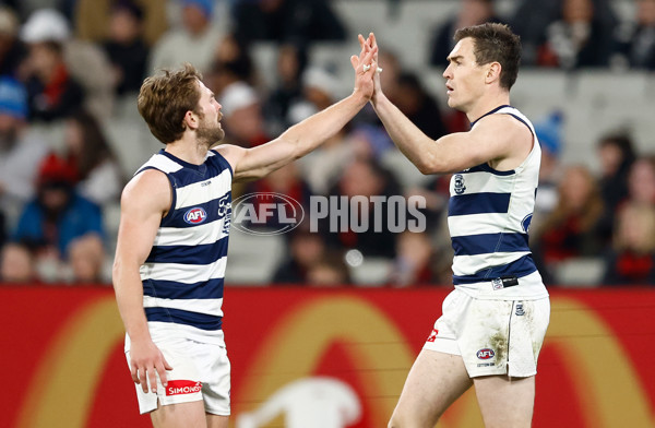 AFL 2025 Round 14 - Essendon v Geelong - A-60031657