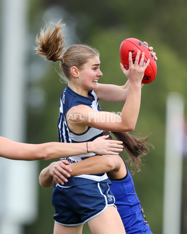 VFLW 2025 Round 08 - North Melbourne v Geelong Cats - A-60034469