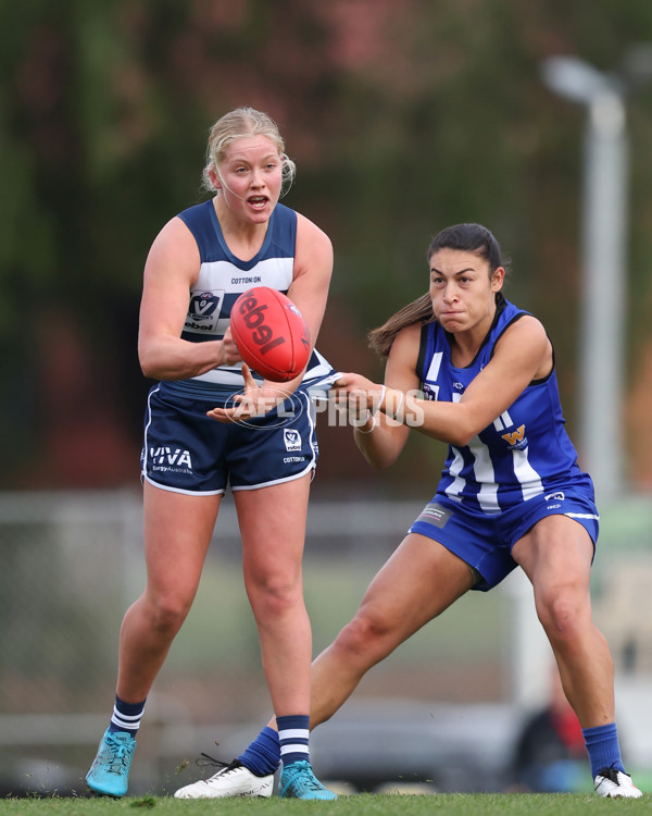 VFLW 2025 Round 08 - North Melbourne v Geelong Cats - A-60039669