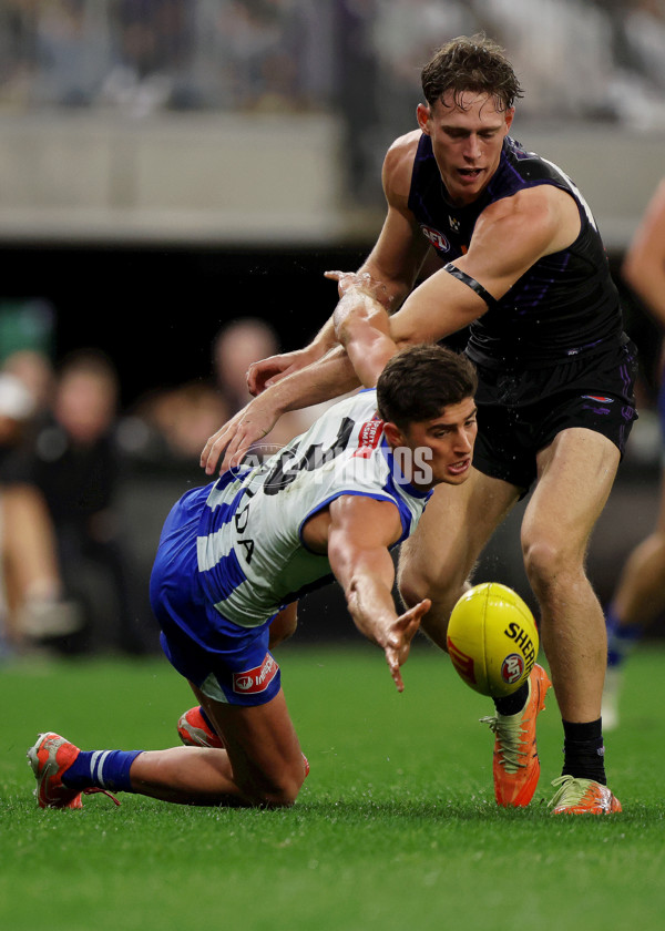AFL 2025 Round 14 - North Melbourne v Fremantle - A-60044763