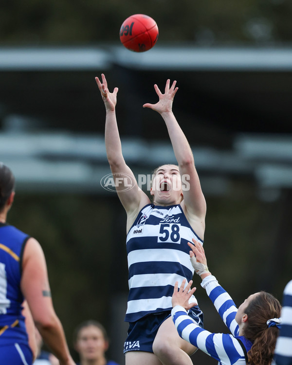 VFLW 2025 Round 08 - North Melbourne v Geelong Cats - A-60046476