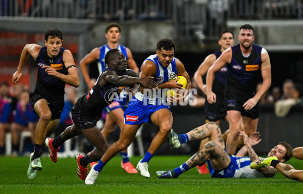 AFL 2025 Round 14 - North Melbourne v Fremantle - A-60046513