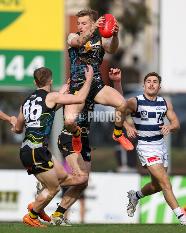 VFL 2025 Round 12 - Werribee v Geelong Cats - A-60049131