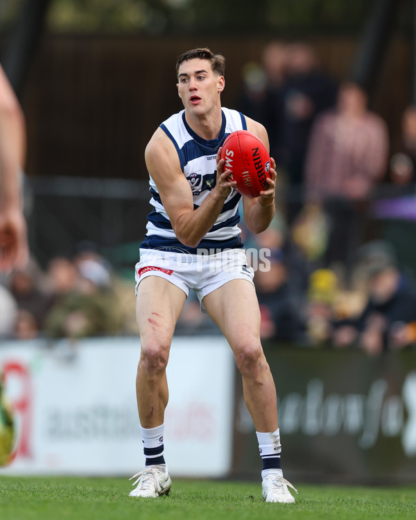 VFL 2025 Round 12 - Werribee v Geelong Cats - A-60049133