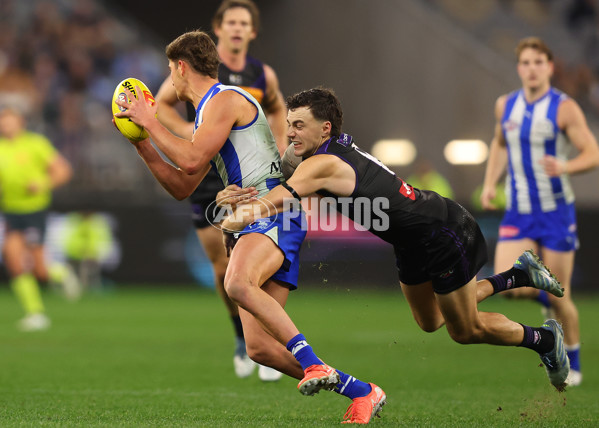 AFL 2025 Round 14 - North Melbourne v Fremantle - A-60050077