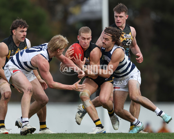 VFL 2025 Round 12 - Werribee v Geelong Cats - A-60050121