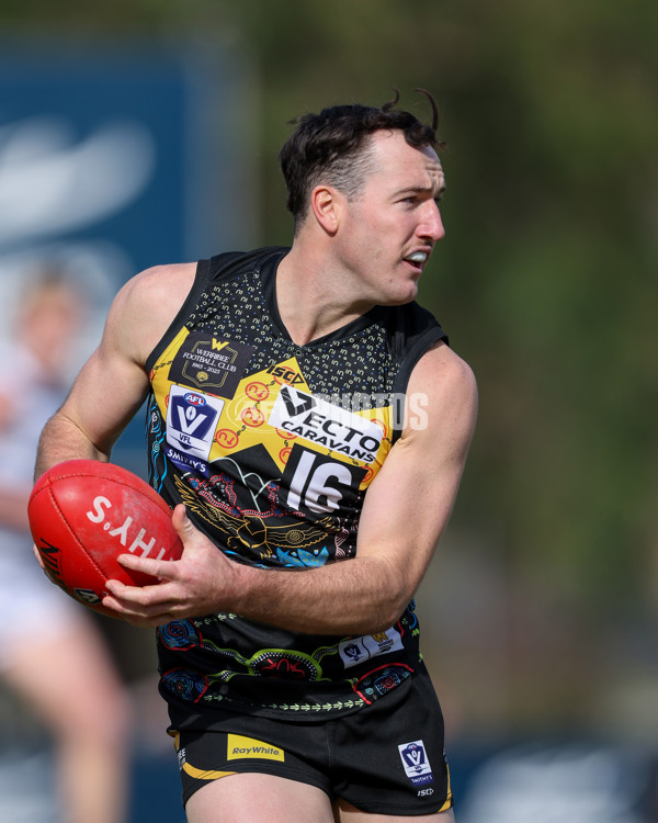 VFL 2025 Round 12 - Werribee v Geelong Cats - A-60051875