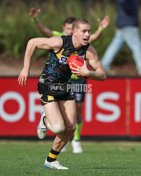 VFL 2025 Round 12 - Werribee v Geelong Cats - A-60051901