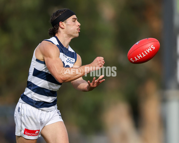 VFL 2025 Round 12 - Werribee v Geelong Cats - A-60051923
