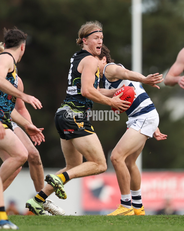 VFL 2025 Round 12 - Werribee v Geelong Cats - A-60051936