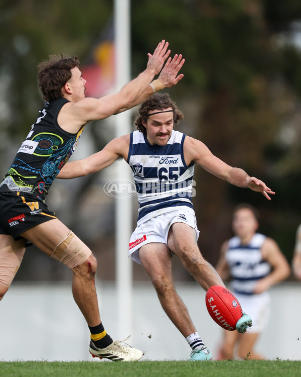 VFL 2025 Round 12 - Werribee v Geelong Cats - A-60051948
