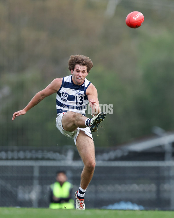 VFL 2025 Round 12 - Werribee v Geelong Cats - A-60051966