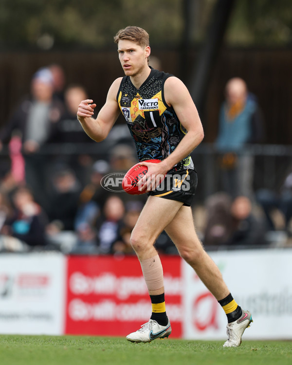 VFL 2025 Round 12 - Werribee v Geelong Cats - A-60053004