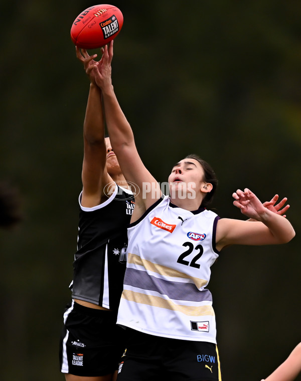 Coates League Girls 2025 Round 10 - GWV Rebels v Murray Bushrangers - A-60058701