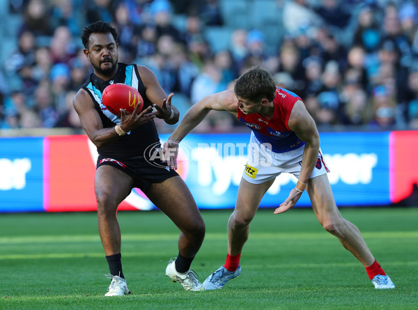 AFL 2025 Round 14 - Port Adelaide v Melbourne - A-60061055