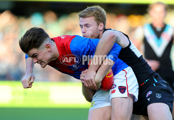 AFL 2025 Round 14 - Port Adelaide v Melbourne - A-60064531