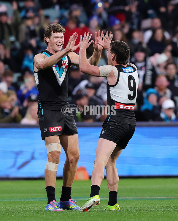 AFL 2025 Round 14 - Port Adelaide v Melbourne - A-60068883