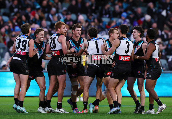 AFL 2025 Round 14 - Port Adelaide v Melbourne - A-60068892