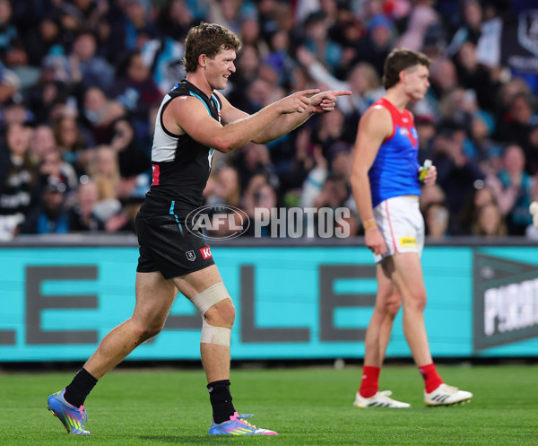 AFL 2025 Round 14 - Port Adelaide v Melbourne - A-60068905