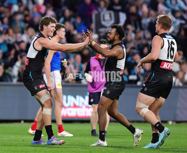 AFL 2025 Round 14 - Port Adelaide v Melbourne - A-60069117