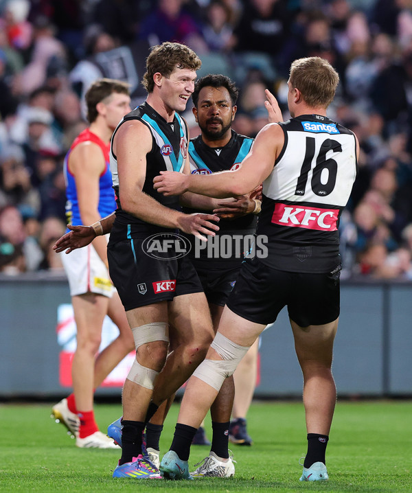 AFL 2025 Round 14 - Port Adelaide v Melbourne - A-60069123
