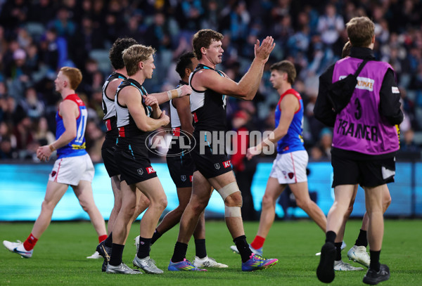 AFL 2025 Round 14 - Port Adelaide v Melbourne - A-60073968