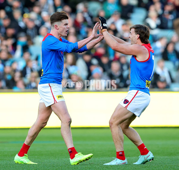 AFL 2025 Round 14 - Port Adelaide v Melbourne - A-60078970
