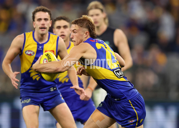 AFL 2025 Round 14 - West Coast v Carlton - A-60086649