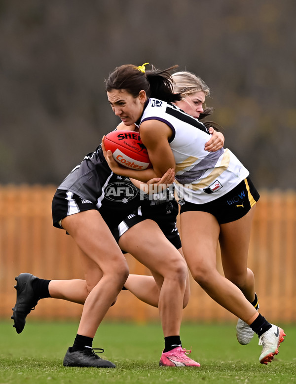 Coates League Girls 2025 Round 10 - GWV Rebels v Murray Bushrangers - A-60087658