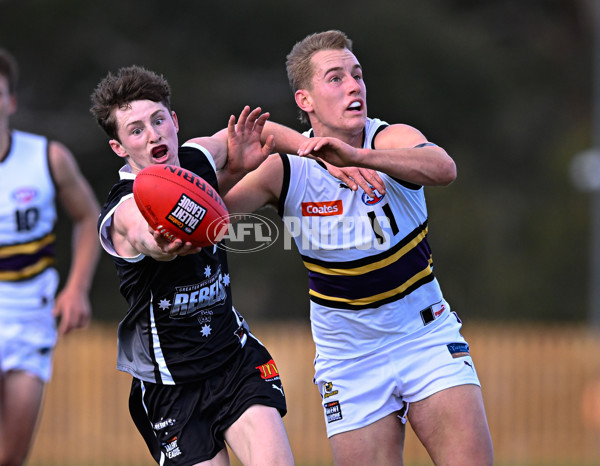 Coates League Boys 2025 Round 11 - GWV Rebels v Murray Bushrangers - A-60087698