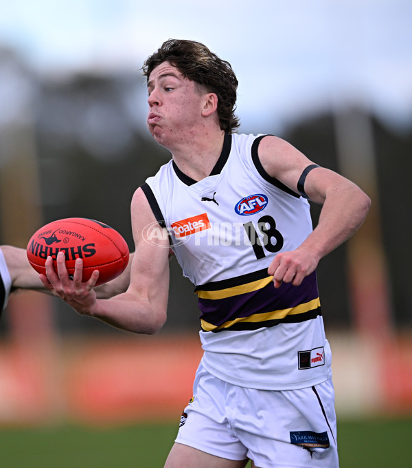 Coates League Boys 2025 Round 11 - GWV Rebels v Murray Bushrangers - A-60087701