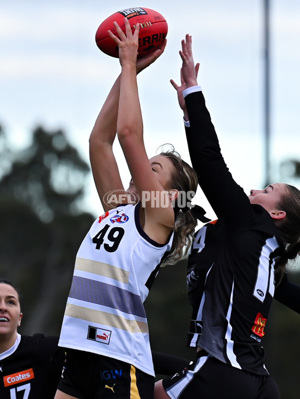 Coates League Girls 2025 Round 10 - GWV Rebels v Murray Bushrangers - A-60088867