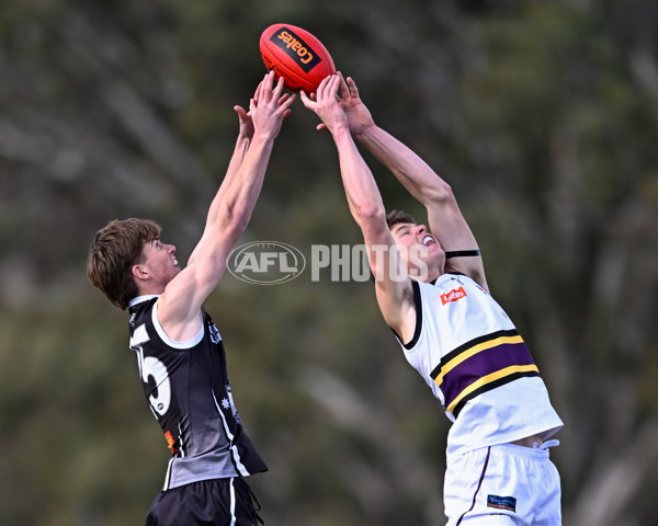 Coates League Boys 2025 Round 11 - GWV Rebels v Murray Bushrangers - A-60090765