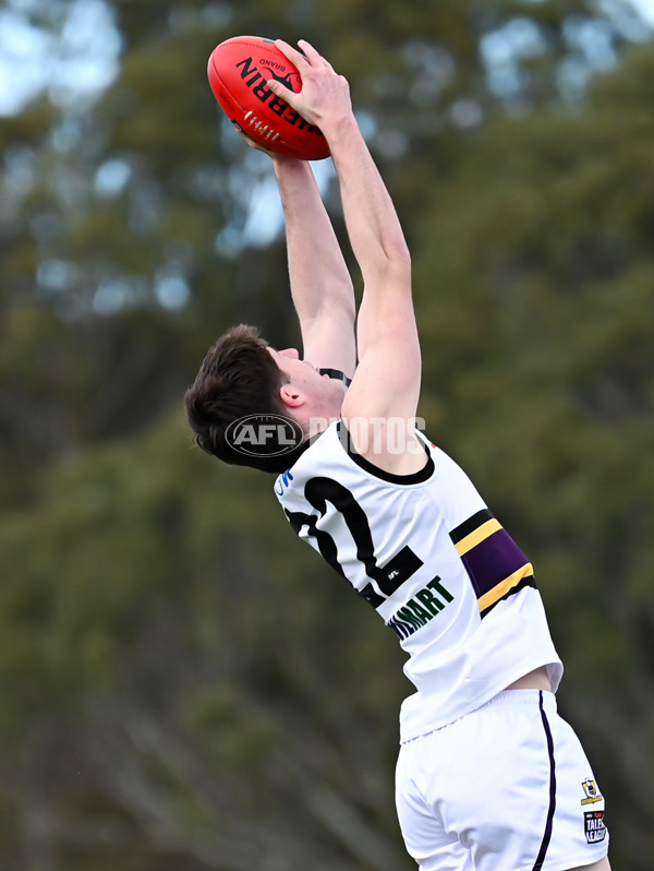 Coates League Boys 2025 Round 11 - GWV Rebels v Murray Bushrangers - A-60090790