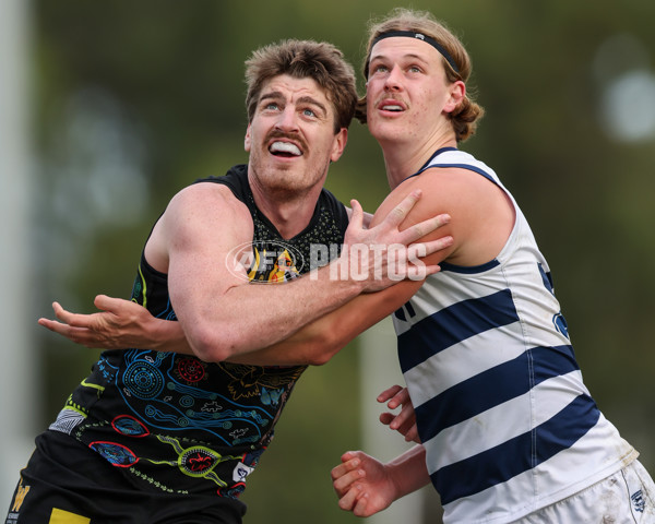 VFL 2025 Round 12 - Werribee v Geelong Cats - A-60090833