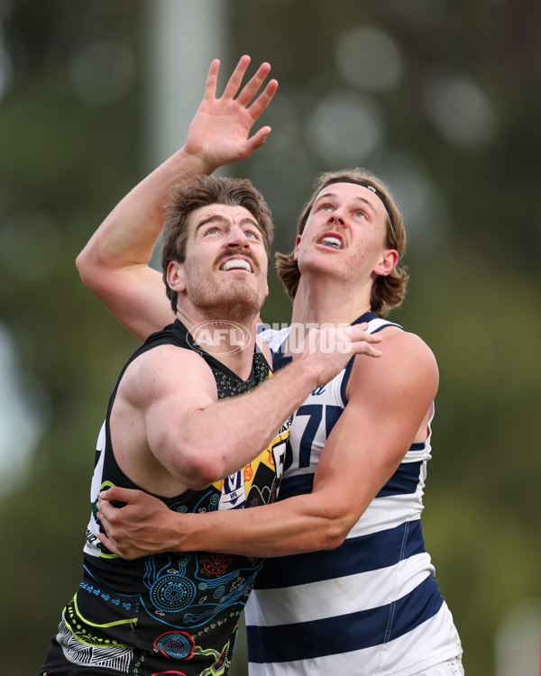 VFL 2025 Round 12 - Werribee v Geelong Cats - A-60092083