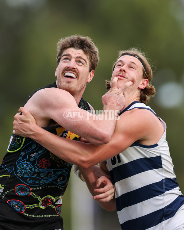 VFL 2025 Round 12 - Werribee v Geelong Cats - A-60092085