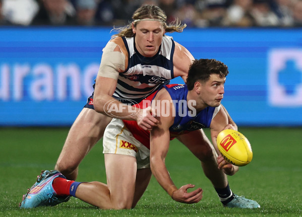 AFL 2025 Round 15 - Geelong v Brisbane - A-60129530