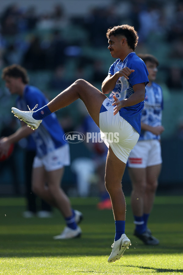 AFL 2025 Round 15 - Carlton v North Melbourne - A-60138565