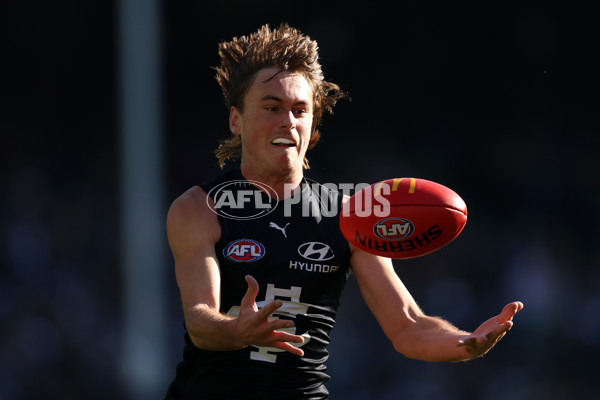AFL 2025 Round 15 - Carlton v North Melbourne - A-60140675
