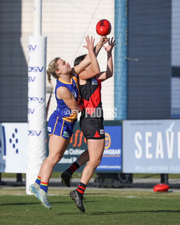 VFLW 2025 Round 09 - Williamstown v Essendon - A-60150430