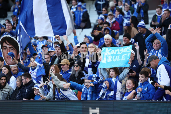 AFL 2025 Round 15 - Carlton v North Melbourne - A-60150494