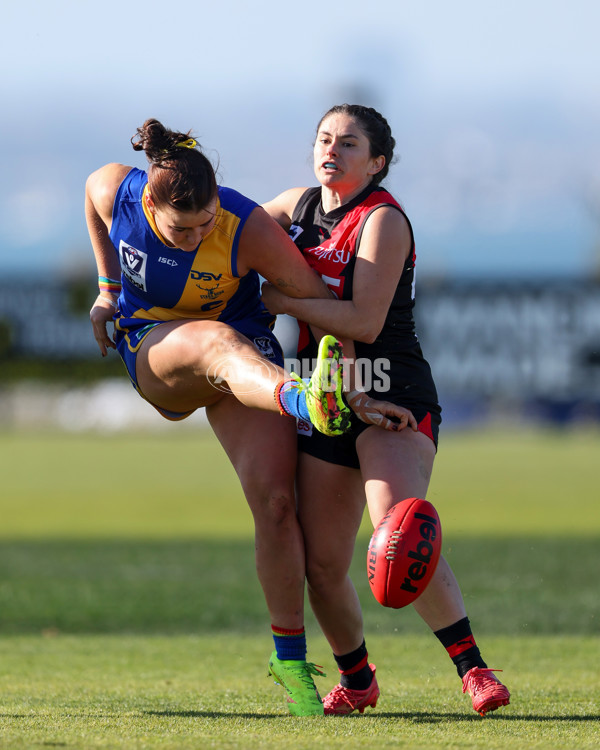 VFLW 2025 Round 09 - Williamstown v Essendon - A-60162479