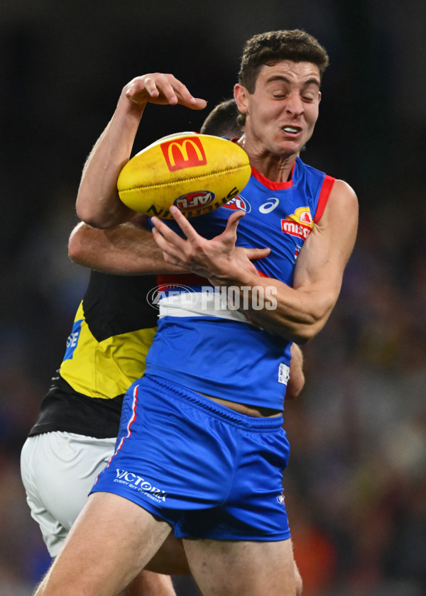 AFL 2025 Round 15 - Western Bulldogs v Richmond - A-60184852