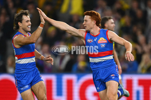 AFL 2025 Round 15 - Western Bulldogs v Richmond - A-60187708