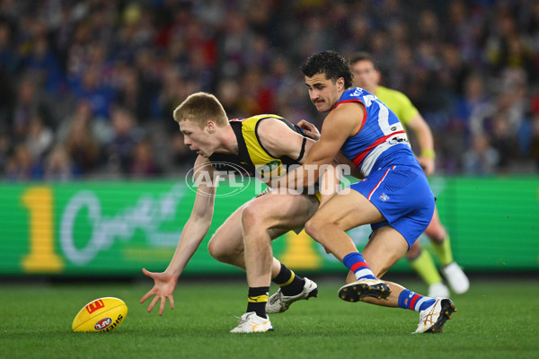 AFL 2025 Round 15 - Western Bulldogs v Richmond - A-60188431