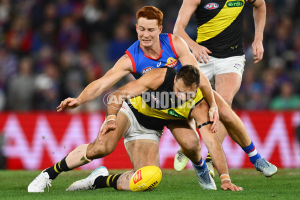 AFL 2025 Round 15 - Western Bulldogs v Richmond - A-60188446