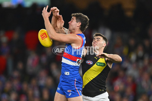 AFL 2025 Round 15 - Western Bulldogs v Richmond - A-60188447