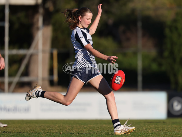 AFL National Development Championships U18 Girls 2025 - Vic Country v Allies - A-60196480